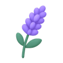 Lavanda.Psi